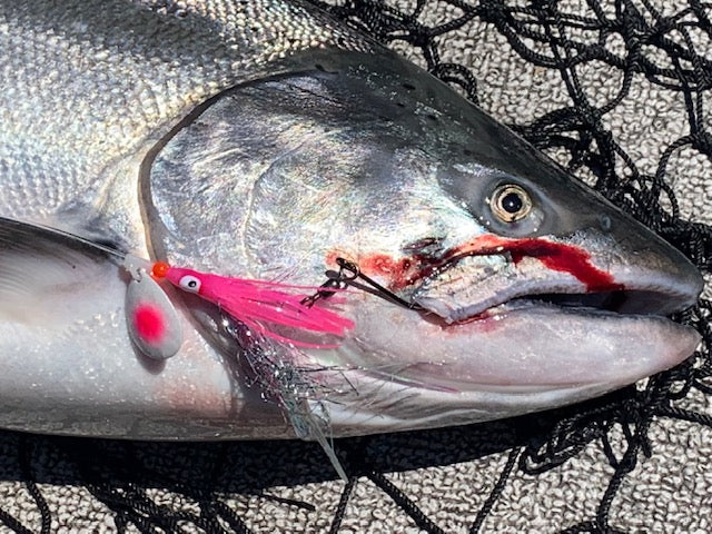 #3.5 Colorado "Copper Candy" Spinner Blade (Single Blade)